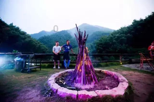 茶花和月季哪个更怕热？游戏画面