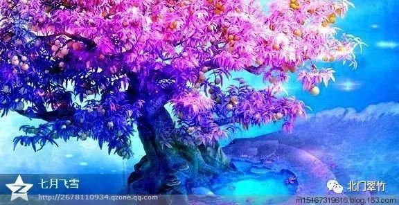 无人的神秘村